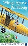 Wings Above Billabong English Edition