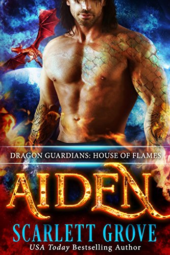 Aiden book cover