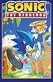 Sonic The Hedgehog Vol 1 Fallout Sonic The Hedgehog 2018