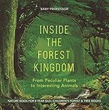 Inside The Forest Kingdom From Peculiar Plants To Interesting Animals Nature Book For 8 Year Old Childrens Forest Tree Books