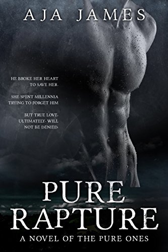 Pure Rapture book cover