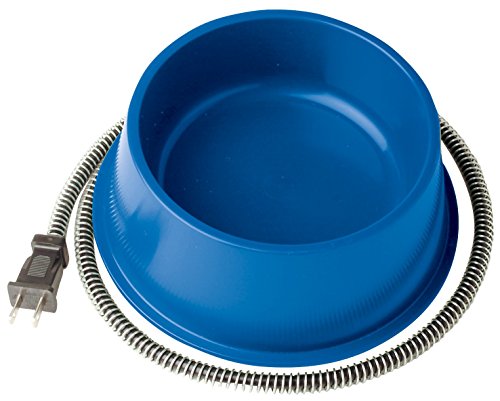 Farm Innovators 1 Quart Plastic Heated Pet Bowl with Anti Chew Cord and 25 Watts of Power for Rabbits, Dogs, Cats, and All Breed Sizes, Blue