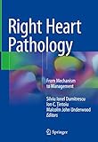 Right Heart Pathology From Mechanism To Management English Edition