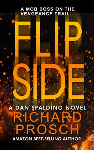Flip Side book cover