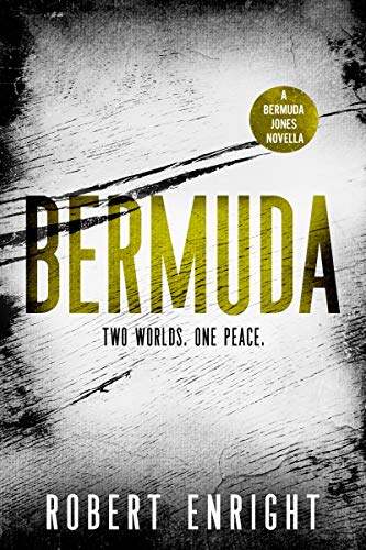 Bermuda book cover