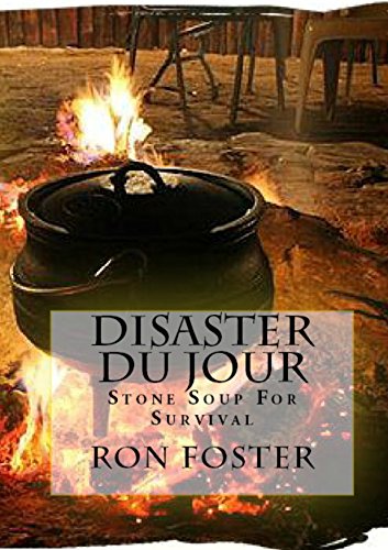 Disaster Du Jour cover