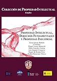 Propiedad Intelectual Derechos Fundamentales Y Propiedad Industrial Spanish Edition