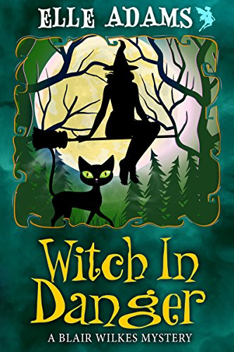 Witch in Danger book cover