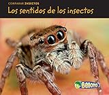 Los Sentidos De Los Insectos Comparar Insectos Spanish Edition