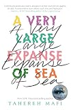 A Very Large Expanse Of Sea English Edition