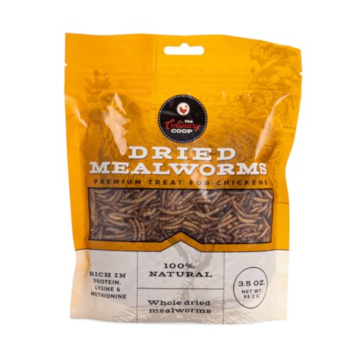 Fluker's Culinary Coop Premium Chicken Treats, Mealworms 3.5 oz, High Protein Worm, Nutritious Treat