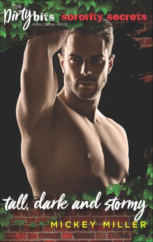 Tall, Dark and Stormy book cover