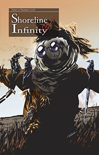Shoreline of Infinity 12 book cover