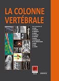 La Colonne Vertbrale