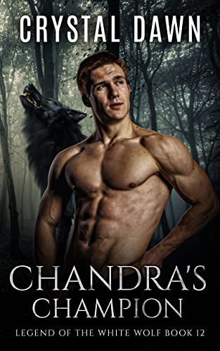 Chandra's Champion book cover