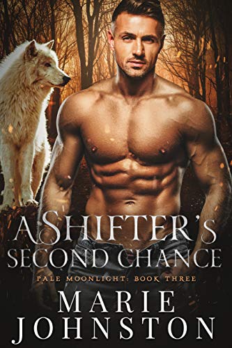 A Shifter's Second Chance book cover