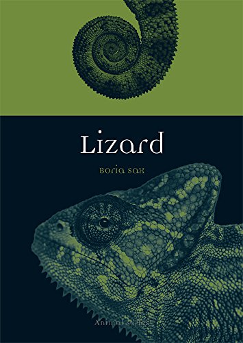Lizard book cover