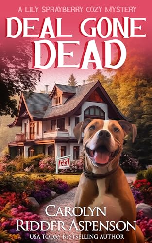 Deal Gone Dead book cover