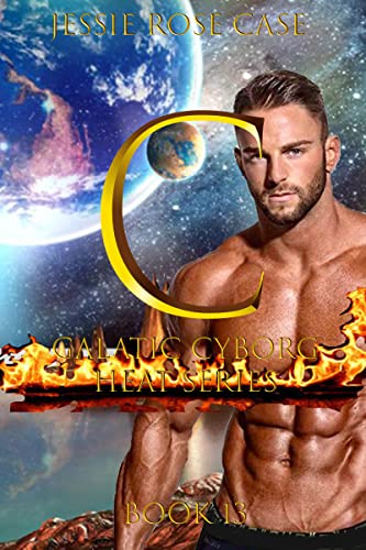 C book cover