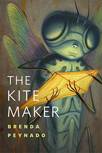 The Kite Maker cover
