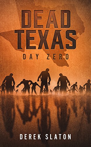 Day Zero book cover