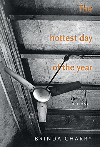 The Hottest Day of the Year book cover