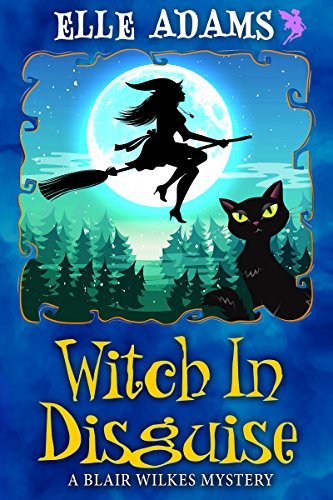Witch in Disguise book cover