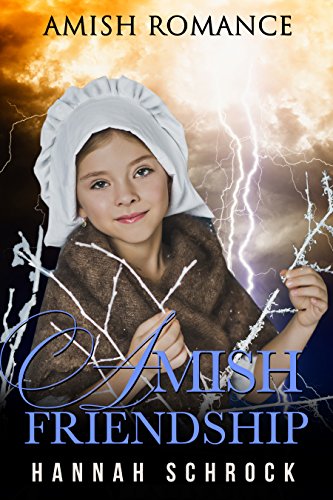 Amish Friendship book cover