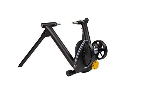 CycleOps 9930 M2 Smart T...