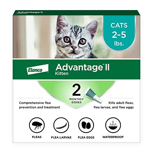 Advantage II kitten flea treatment 2-5 lbs 8 weeks and older