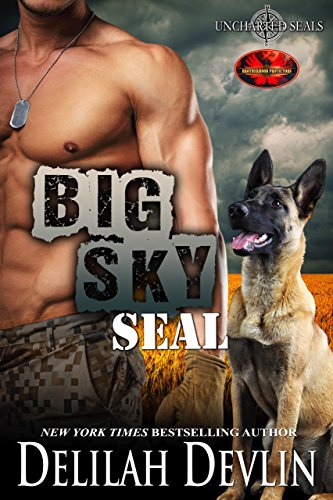 Big Sky SEAL book cover