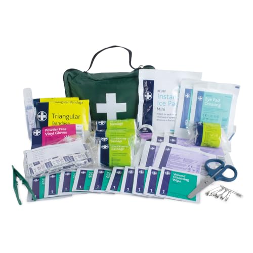 🔥 STARKER PREIS (-42%) Lewis-Plast Premium Erste-Hilfe-Set mit 90 Teilen - Enthält Augenspülung, 2 x Kälte (Eis) Packungen und Notfalldecke für Zuhause, Büro, Auto, Wohnwagen, Arbeitsplatz, Reisen - Grün