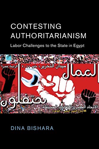 Contesting Authoritarianism book cover