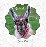 Le Lama: Documentaire Animalier Sur Les Cam%C3%A9lid%C3%A9s