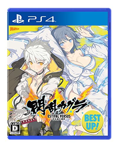 閃乱カグラシリーズで一番面白かった作品を決める人気投票&ランキング 3位 閃乱カグラ ESTIVAL VERSUSの画像