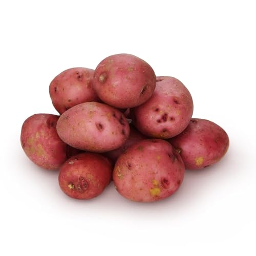 Organic Red Creamer Potato Bag, 24 oz