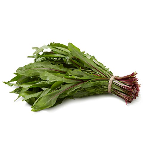 Organic Red Dandelion Greens, One Bunch
