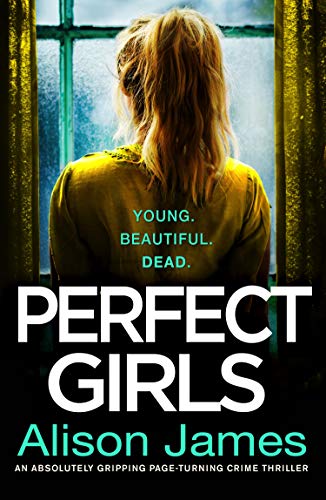 Perfect Girls book cover