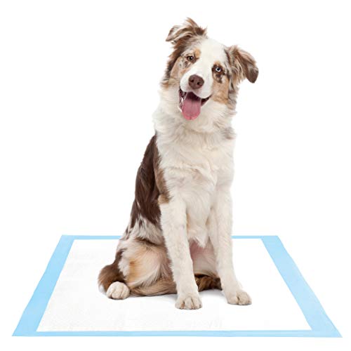 super absorbent pee pads