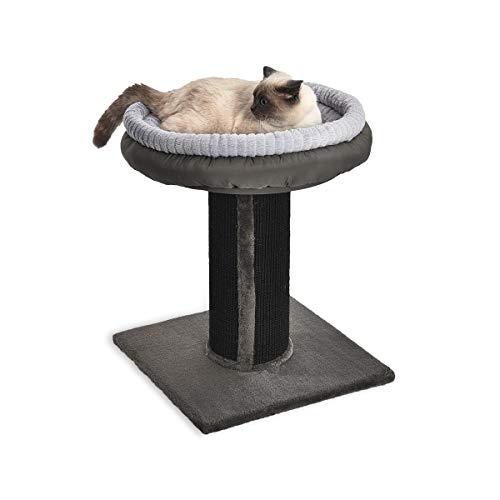 long cat scratching post