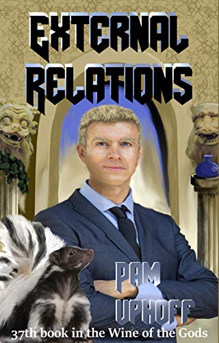 External Relations book cover
