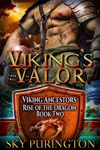 Viking's Valor cover