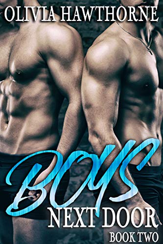 Boys Next Door: Book Two book cover