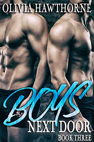 Boys Next Door: Book Three book cover