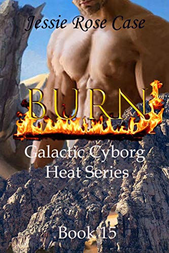 Burn book cover