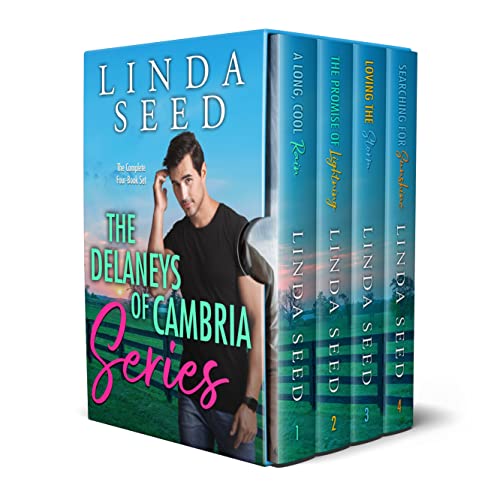 The Delaneys of Cambria book cover