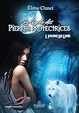 Pierre De Lune: Le Cycle Des Pierres Protectrices, T1