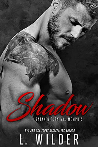 Shadow book cover