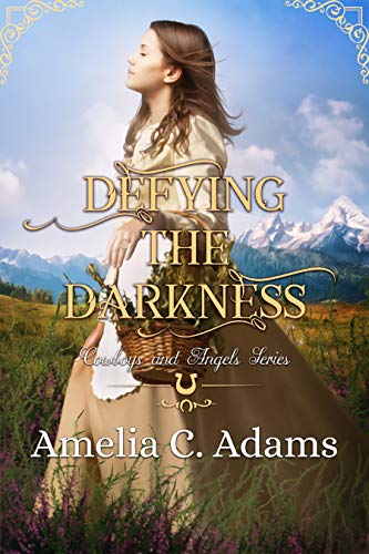 Defying the Darkness (By: Amelia C. Adams) cover