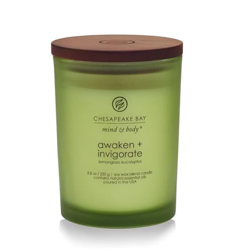 Chesapeake Bay Candle PT40886 Scented Candle, Awaken + Invigorate (Lemongrass Eucalyptus), Medium , Green, Home Décor